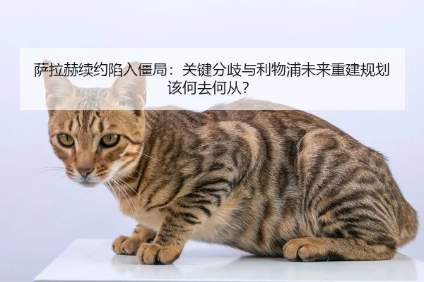 sa-la-he-xu-yue-xian-ru-jiang-ju-guan-jian-fen-qi-yu-li-wu-pu-wei-lai-chong-jian-gui-hua-gai-he-qu-he-cong-3-705.jpg