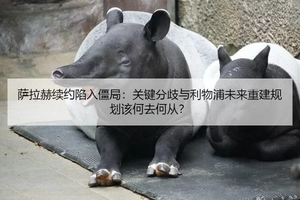 萨拉赫续约陷入僵局：关键分歧与利物浦未来重建规划该何去何从？