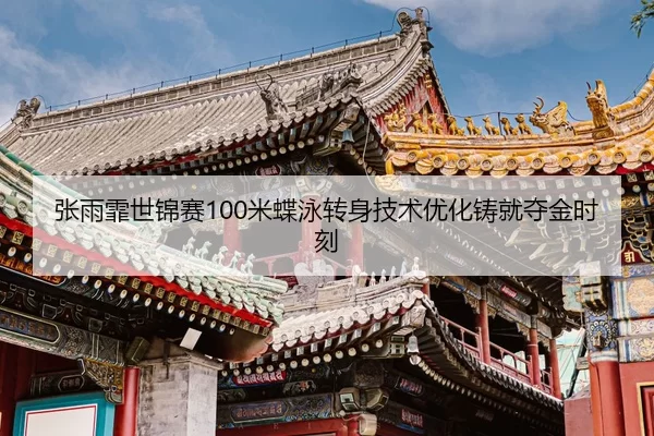 zhang-yu-fei-shi-jin-sai-mi-die-yong-zhuan-shen-ji-shu-you-hua-zhu-jiu-duo-jin-shi-ke-2-581.jpg