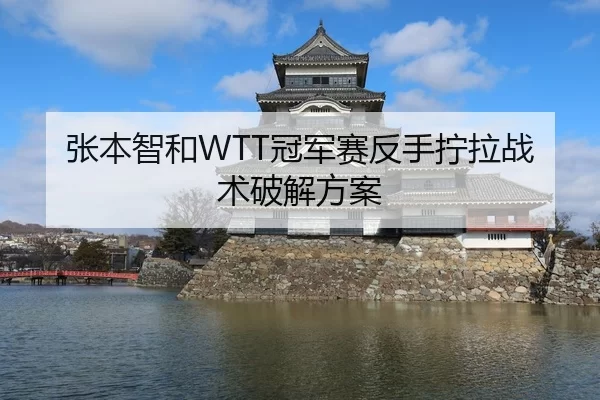 张本智和WTT冠军赛反手拧拉战术破解方案